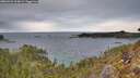./images/calvert/foggy-cove/20260223/foggy-cove20260223_163002M.jpg