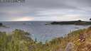 ./images/calvert/foggy-cove/20260223/foggy-cove20260223_165001M.jpg