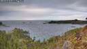 ./images/calvert/foggy-cove/20260223/foggy-cove20260223_165501M.jpg