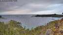 ./images/calvert/foggy-cove/20260223/foggy-cove20260223_171501M.jpg