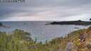 ./images/calvert/foggy-cove/20260223/foggy-cove20260223_172001M.jpg
