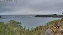 ./images/calvert/foggy-cove/20260223/foggy-cove20260223_175501M.jpg