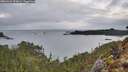 ./images/calvert/foggy-cove/20260224/foggy-cove20260224_073001M.jpg