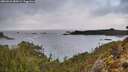 ./images/calvert/foggy-cove/20260224/foggy-cove20260224_084501M.jpg