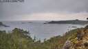 ./images/calvert/foggy-cove/20260224/foggy-cove20260224_090501M.jpg