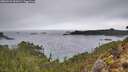 ./images/calvert/foggy-cove/20260224/foggy-cove20260224_092001M.jpg