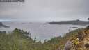 ./images/calvert/foggy-cove/20260224/foggy-cove20260224_092501M.jpg