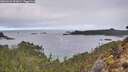 ./images/calvert/foggy-cove/20260224/foggy-cove20260224_093001M.jpg