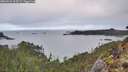 ./images/calvert/foggy-cove/20260224/foggy-cove20260224_093501M.jpg