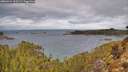 ./images/calvert/foggy-cove/20260224/foggy-cove20260224_101501M.jpg