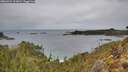 ./images/calvert/foggy-cove/20260224/foggy-cove20260224_111001M.jpg