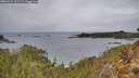 ./images/calvert/foggy-cove/20260224/foggy-cove20260224_111501M.jpg