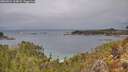 ./images/calvert/foggy-cove/20260224/foggy-cove20260224_114001M.jpg