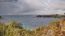 ./images/calvert/foggy-cove/20260224/foggy-cove20260224_133502M.jpg