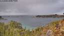 ./images/calvert/foggy-cove/20260224/foggy-cove20260224_134502M.jpg