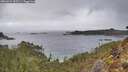 ./images/calvert/foggy-cove/20260224/foggy-cove20260224_135501M.jpg