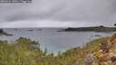 ./images/calvert/foggy-cove/20260224/foggy-cove20260224_145001M.jpg