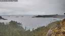 ./images/calvert/foggy-cove/20260224/foggy-cove20260224_152501M.jpg