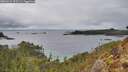 ./images/calvert/foggy-cove/20260224/foggy-cove20260224_153501M.jpg