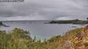 ./images/calvert/foggy-cove/20260224/foggy-cove20260224_155002M.jpg