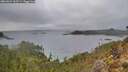 ./images/calvert/foggy-cove/20260224/foggy-cove20260224_162501M.jpg