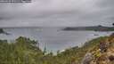 ./images/calvert/foggy-cove/20260225/foggy-cove20260225_073501M.jpg
