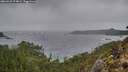 ./images/calvert/foggy-cove/20260225/foggy-cove20260225_074001M.jpg