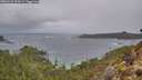 ./images/calvert/foggy-cove/20260225/foggy-cove20260225_074501M.jpg