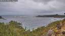 ./images/calvert/foggy-cove/20260225/foggy-cove20260225_075001M.jpg