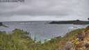 ./images/calvert/foggy-cove/20260225/foggy-cove20260225_080501M.jpg