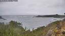 ./images/calvert/foggy-cove/20260225/foggy-cove20260225_081501M.jpg