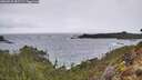 ./images/calvert/foggy-cove/20260225/foggy-cove20260225_082501M.jpg