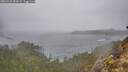 ./images/calvert/foggy-cove/20260225/foggy-cove20260225_083002M.jpg