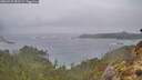 ./images/calvert/foggy-cove/20260225/foggy-cove20260225_083502M.jpg