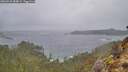 ./images/calvert/foggy-cove/20260225/foggy-cove20260225_084001M.jpg