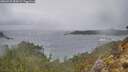 ./images/calvert/foggy-cove/20260225/foggy-cove20260225_084501M.jpg