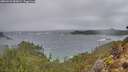 ./images/calvert/foggy-cove/20260225/foggy-cove20260225_085001M.jpg