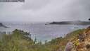 ./images/calvert/foggy-cove/20260225/foggy-cove20260225_085502M.jpg