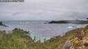 ./images/calvert/foggy-cove/20260225/foggy-cove20260225_090001M.jpg