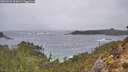 ./images/calvert/foggy-cove/20260225/foggy-cove20260225_092001M.jpg