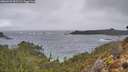 ./images/calvert/foggy-cove/20260225/foggy-cove20260225_092501M.jpg