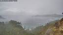 ./images/calvert/foggy-cove/20260225/foggy-cove20260225_093001M.jpg