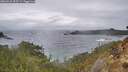 ./images/calvert/foggy-cove/20260225/foggy-cove20260225_093501M.jpg