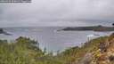 ./images/calvert/foggy-cove/20260225/foggy-cove20260225_095001M.jpg
