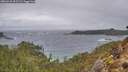./images/calvert/foggy-cove/20260225/foggy-cove20260225_095501M.jpg