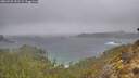 ./images/calvert/foggy-cove/20260225/foggy-cove20260225_101501M.jpg