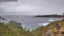 ./images/calvert/foggy-cove/20260225/foggy-cove20260225_102501M.jpg