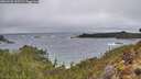 ./images/calvert/foggy-cove/20260225/foggy-cove20260225_103502M.jpg