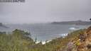 ./images/calvert/foggy-cove/20260225/foggy-cove20260225_104001M.jpg