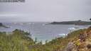 ./images/calvert/foggy-cove/20260225/foggy-cove20260225_104501M.jpg